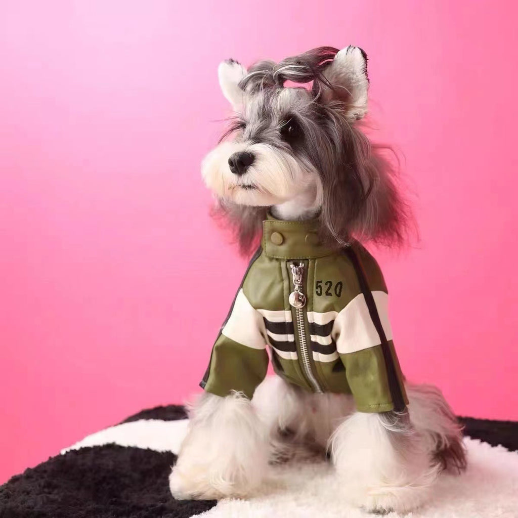 Dogs Motorcycle Jacket