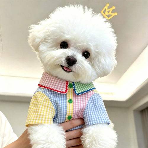 Colourfull Pet Shirt