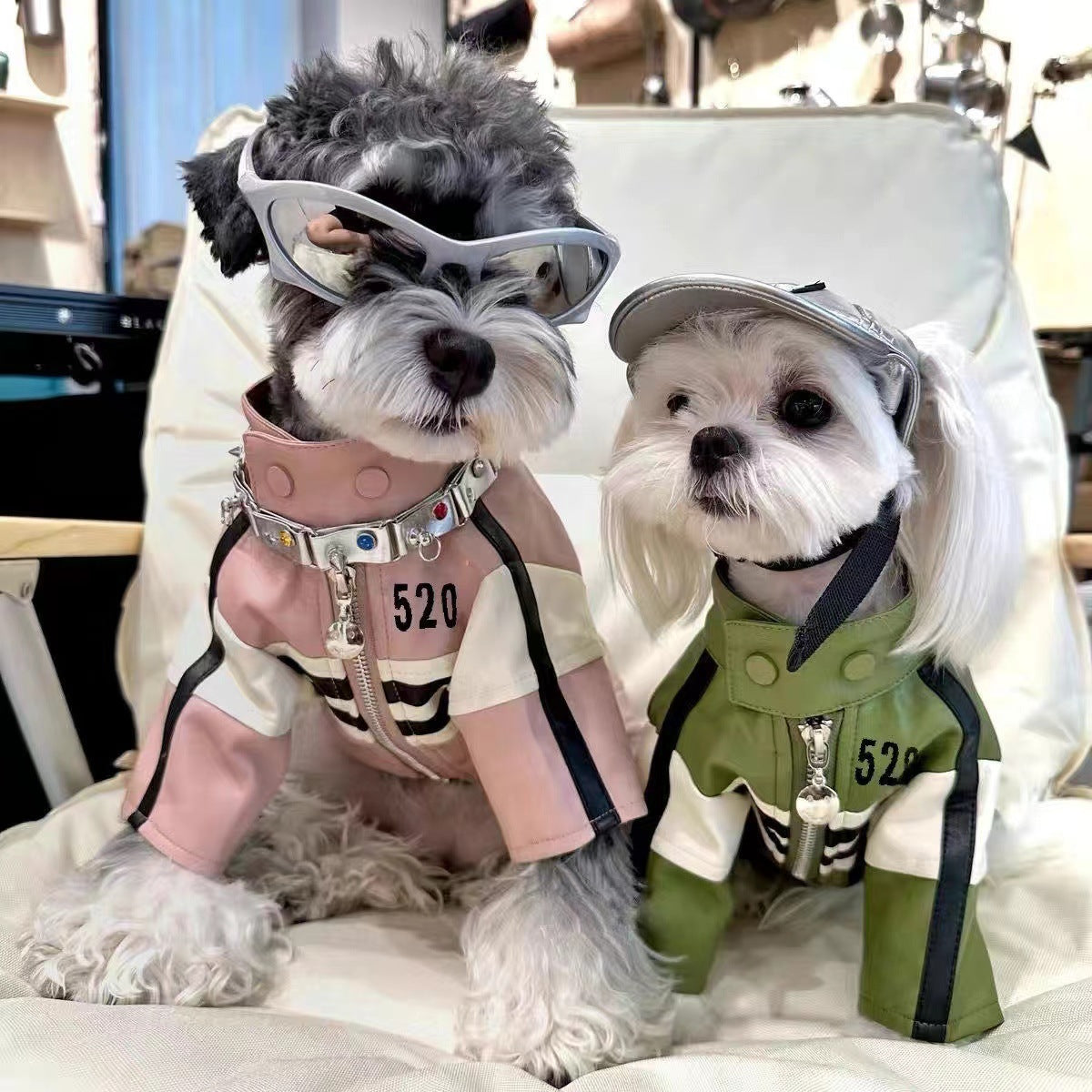 Dogs Motorcycle Jacket