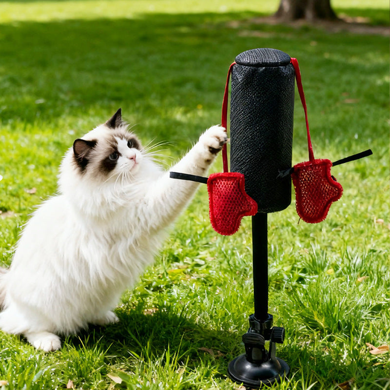 Cat Toy Pole