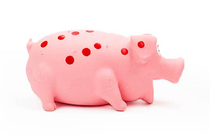 Squeaky Piggy Pet Toy